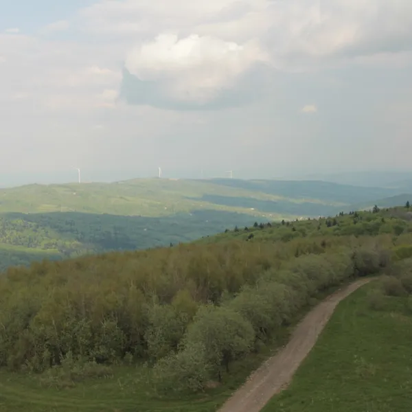 Гора Цюхів