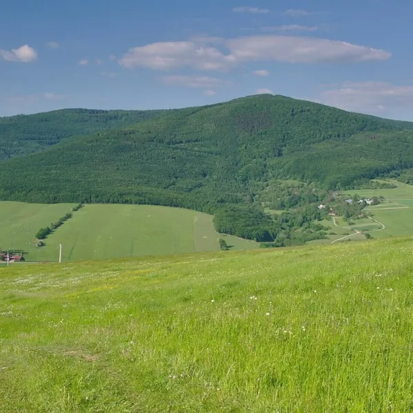 Veľký Lopeník