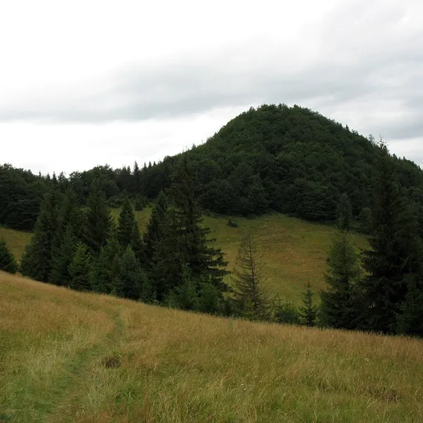 Wysokie Skałki (Wysoka)
