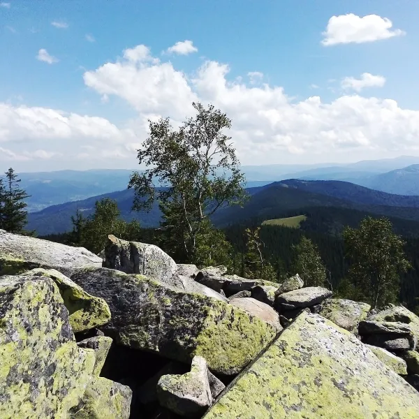 Mount Yavirnyk-Gorgan