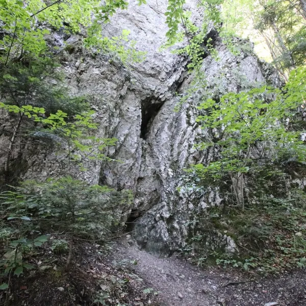 Zamkowa Góra