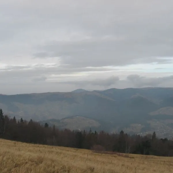 Полонина Борсучина