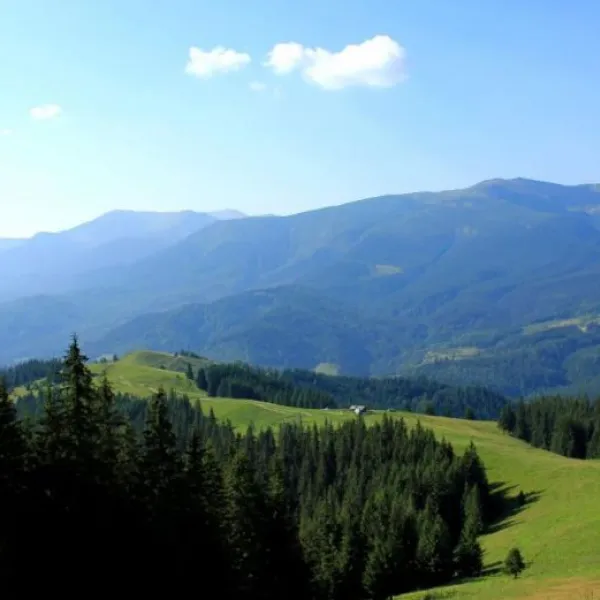 Полонина Псарівка, Бистрець