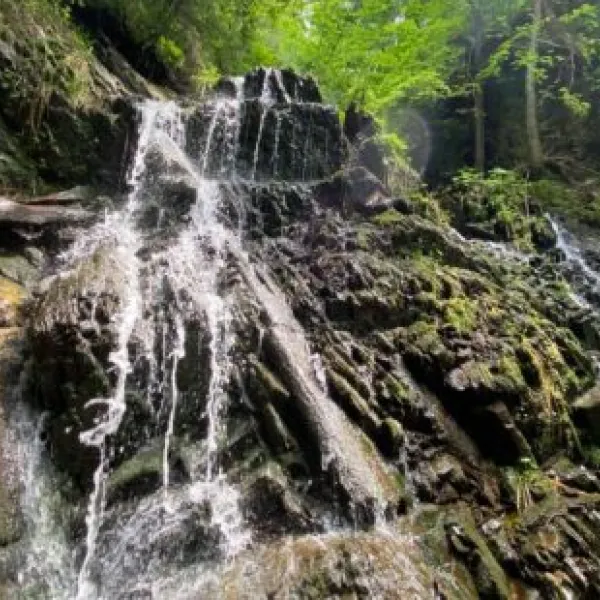 Водоспад Яворівська Ніагара