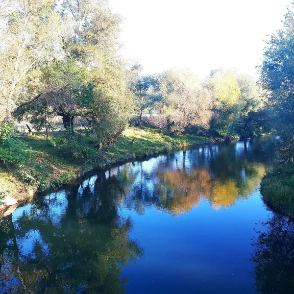 Річка Боржава