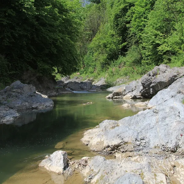 Pistynka River