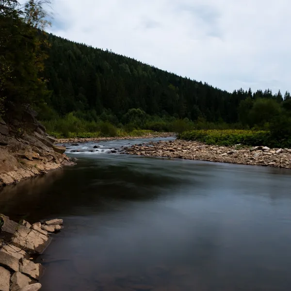 Svicha River