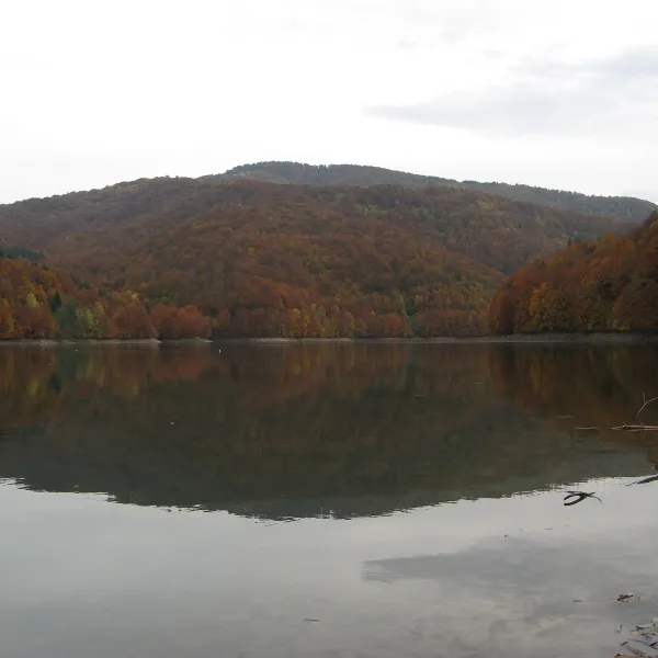 Вільшанське водосховище