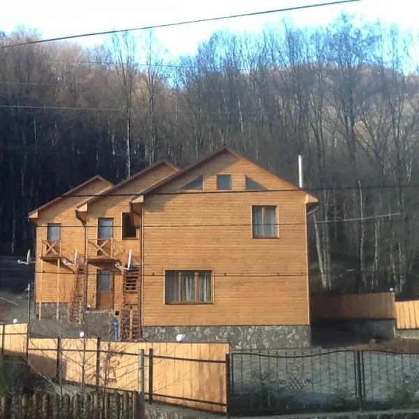 Gospodarstwo Gościnne "Prolisok" Synyak
