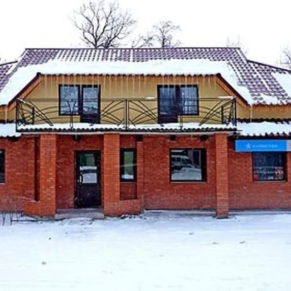 Guest House "Kuvik" Yasinya
