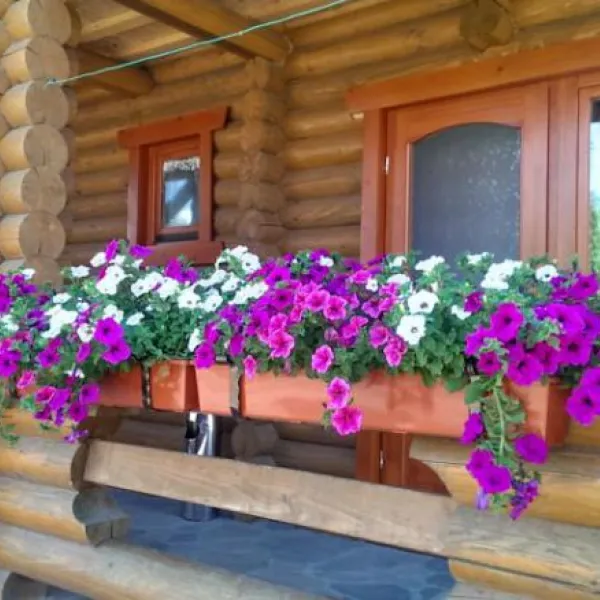 Private Homestead "Chotyry Sezony" Berehove