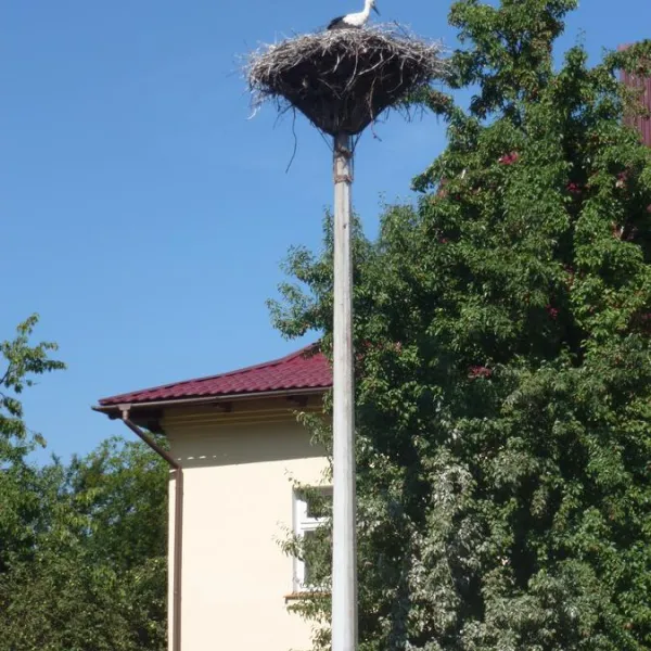 Pensjonat "Pod Bocianem"