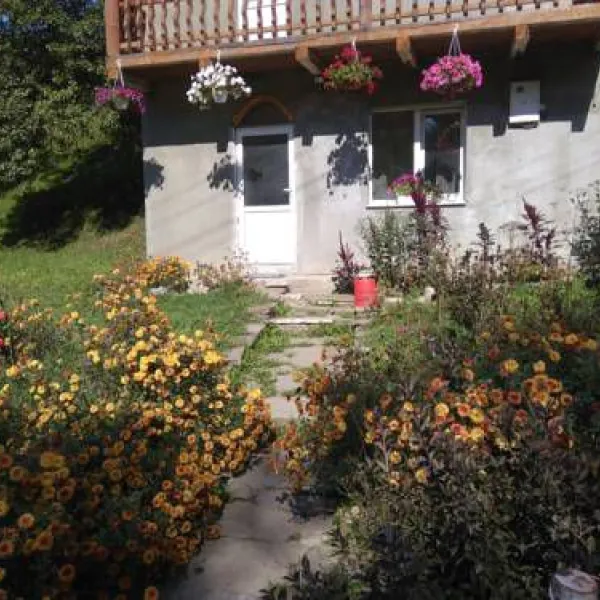 Homestead "U Tetiany" ("Carpathian Cottage")