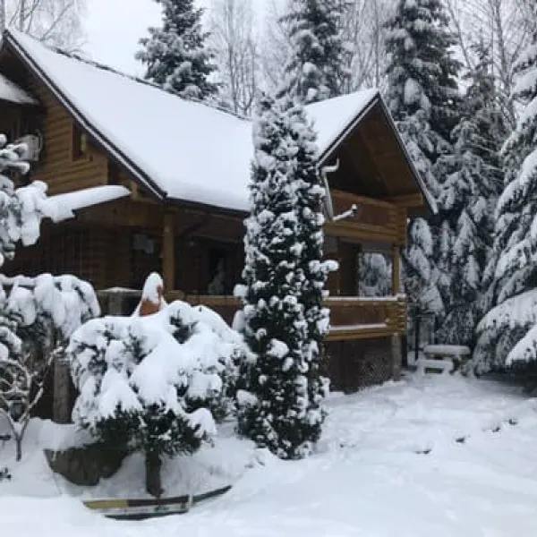Forest Camp