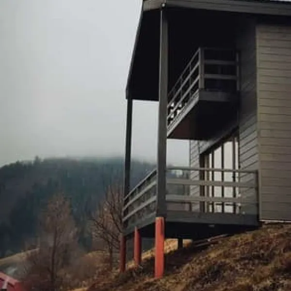Forest Cliff