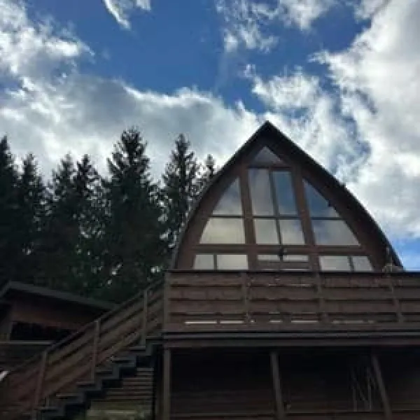 Viyana
