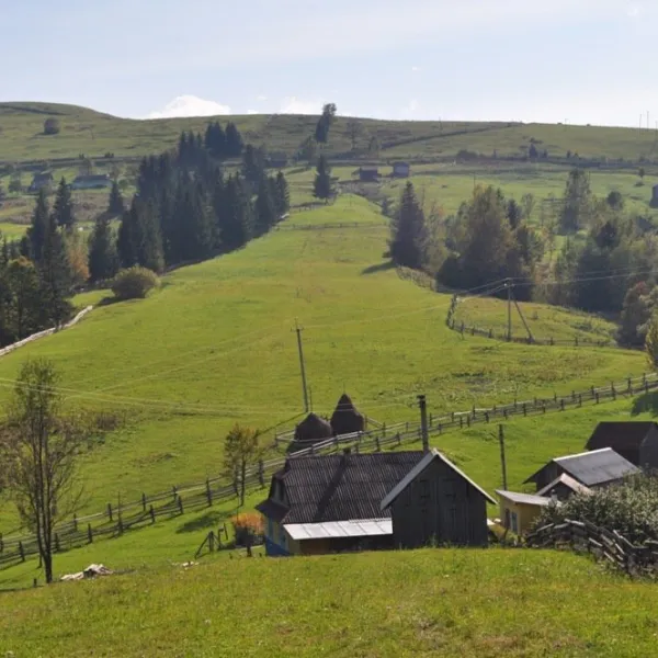 Verkhovyna district — photo 4