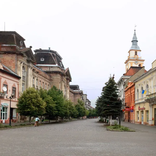 Berehove district — photo 3