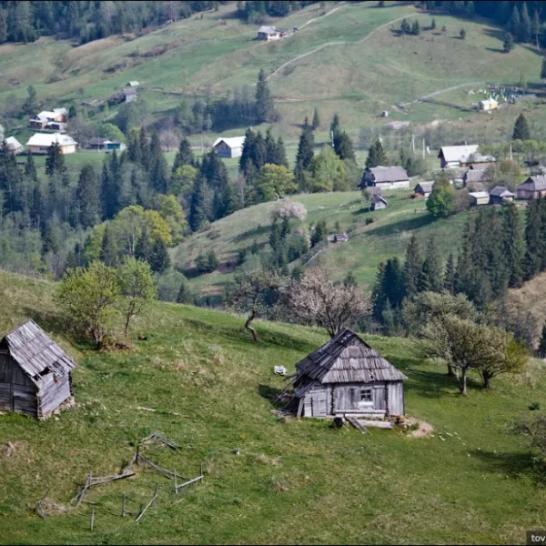 Dzembronia — photo 3
