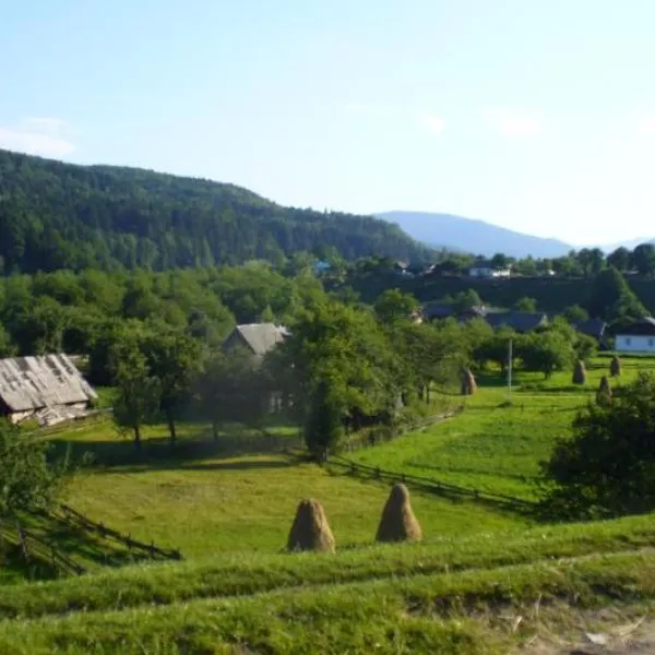 Ilemnya — photo 1