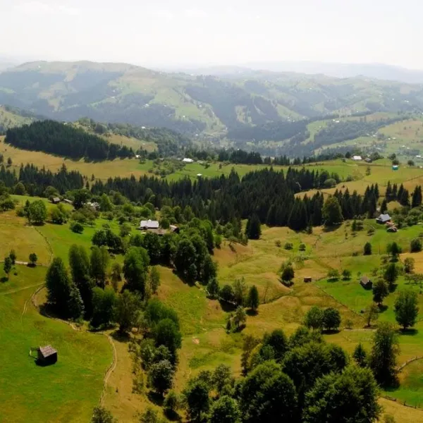 Krasnoiła — zdjęcie 1