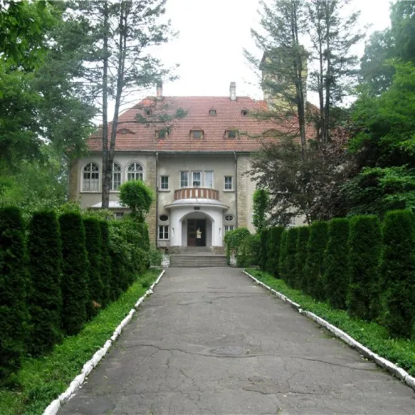 Storozhynets — photo 1