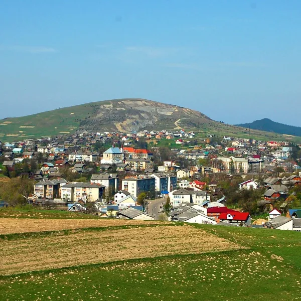 Turek — zdjęcie 1