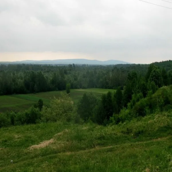 Zeleniv — photo 5