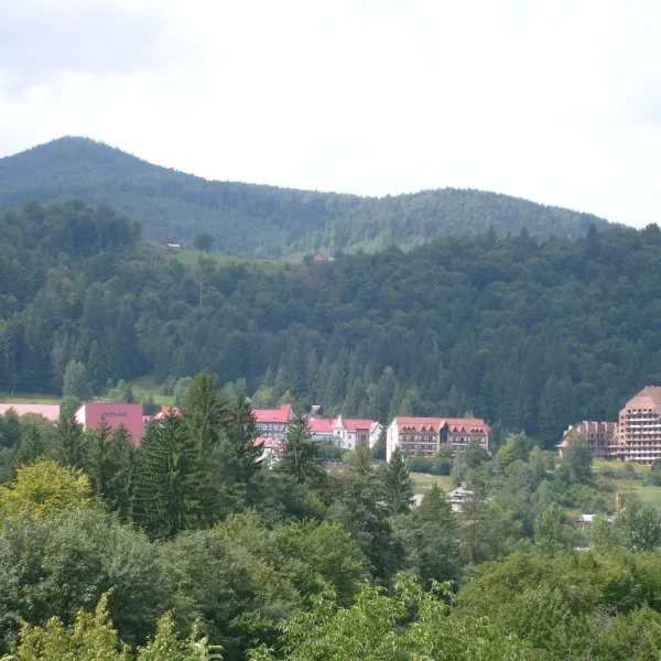 Яремче