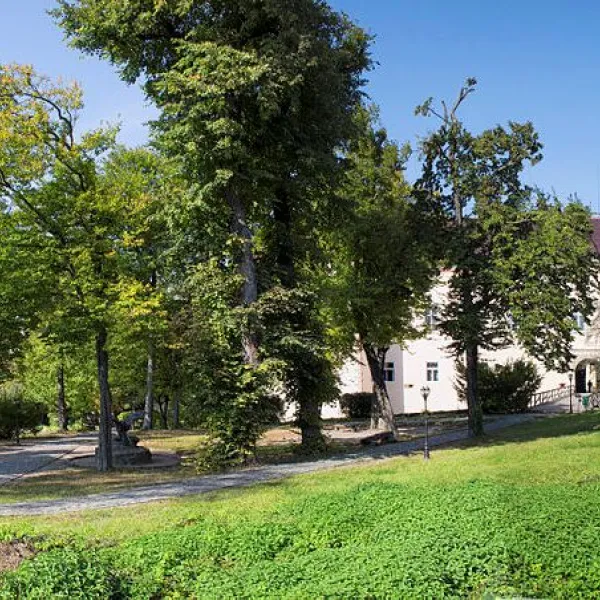 Uzhhorod district — photo 3