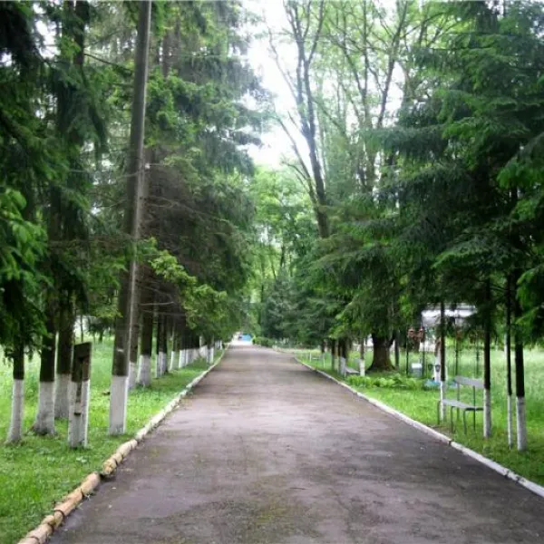 Brusnycia — zdjęcie 4