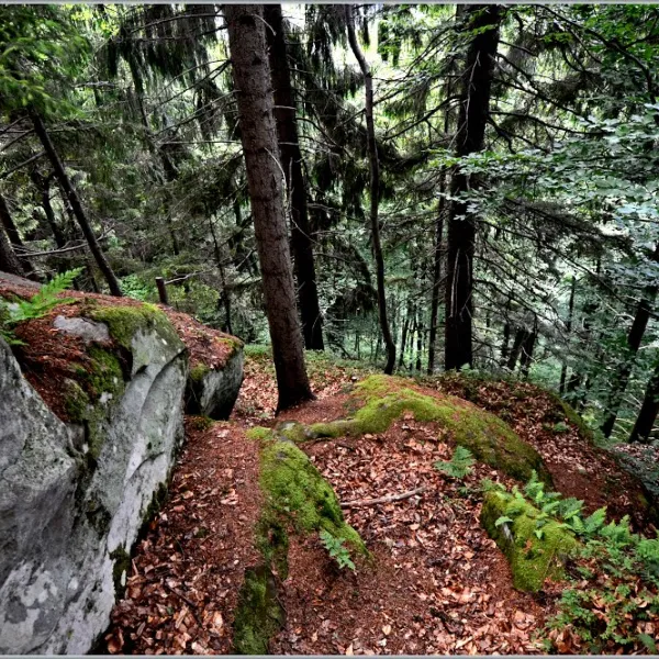 Pistyn — photo 1