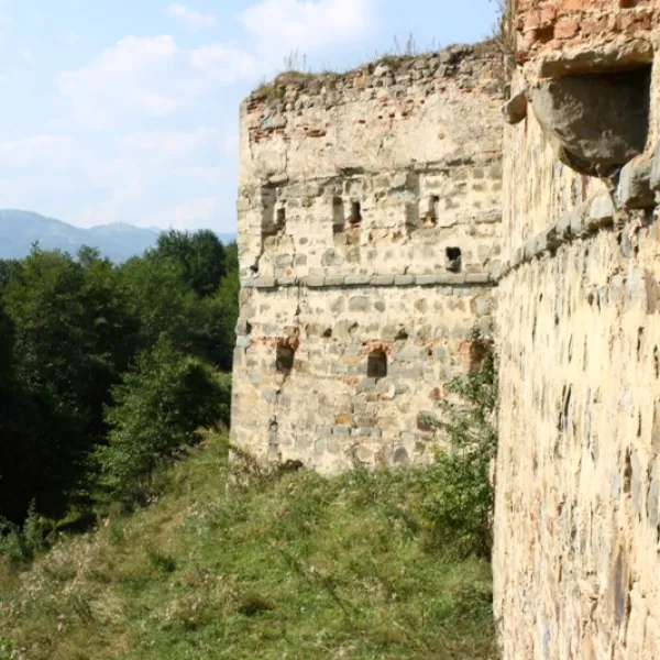 Nadvirna district