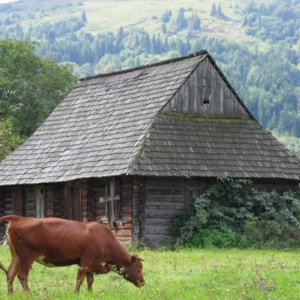 Bania-Berezów — zdjęcie 1