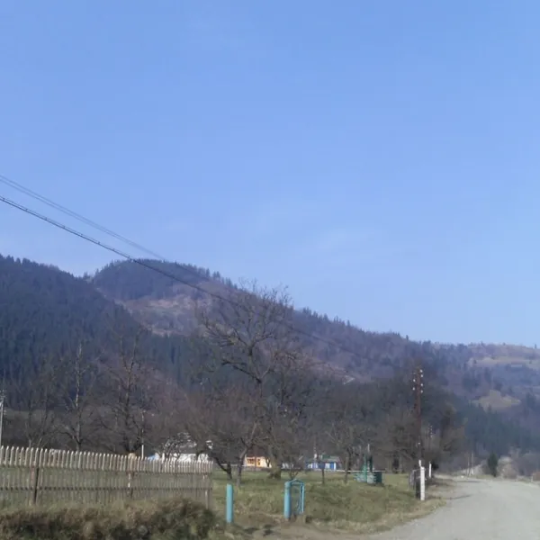 Berwinkowa — zdjęcie 1