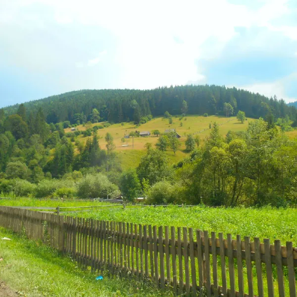 Bohdan — photo 1