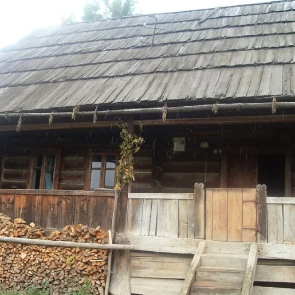 Dovhopillia — photo 3