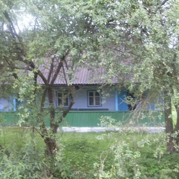 Dovhopillia — photo 2