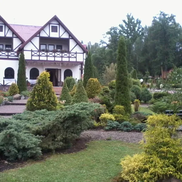 Dzvyniach — photo 1
