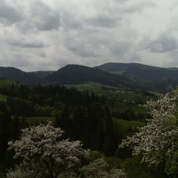 Hołowy — zdjęcie 2