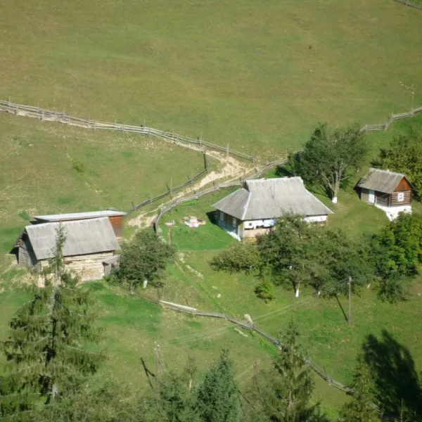 Hryniava — photo 1