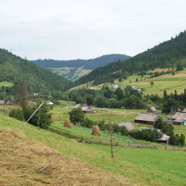 Karpatske — photo 1