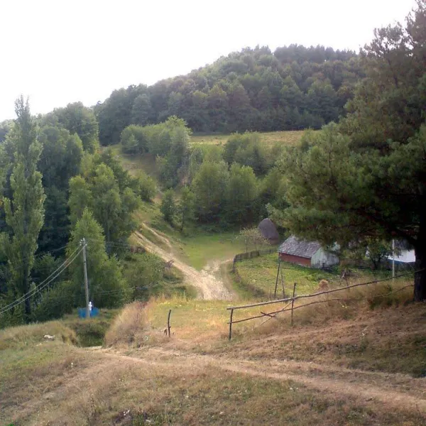 Kostyntsi — photo 4