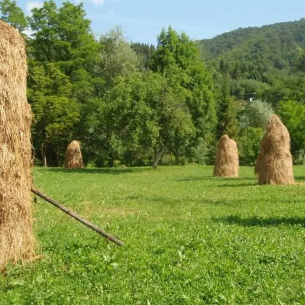 Kysełyci — zdjęcie 1