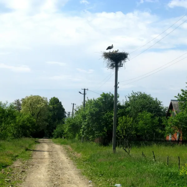 Lukavtsi — photo 1