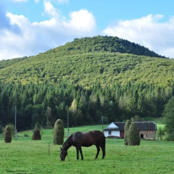 Lucza — zdjęcie 1