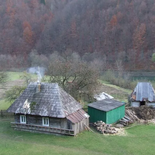Mereszor — zdjęcie 1