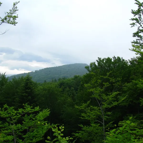 Mizhhiria — photo 1