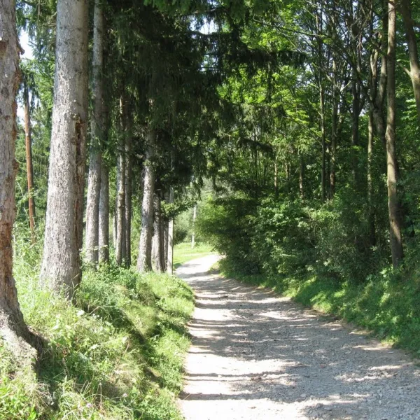 Myszyn — zdjęcie 1