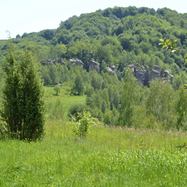 Orów — zdjęcie 1